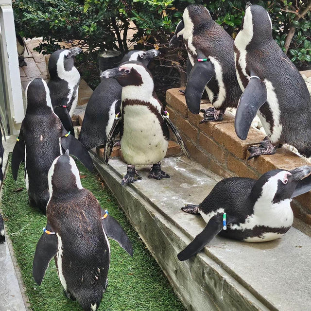 COEX商場內巨型水族館：海底奇景