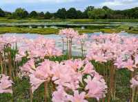 Toyama Prefectural Central Botanical Garden