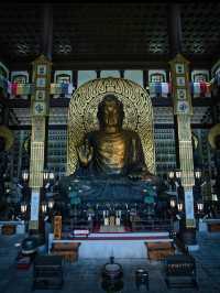 【福井】全てが企画外‼️息を呑むほど壮大かつ荘厳な寺院を紹介🔍