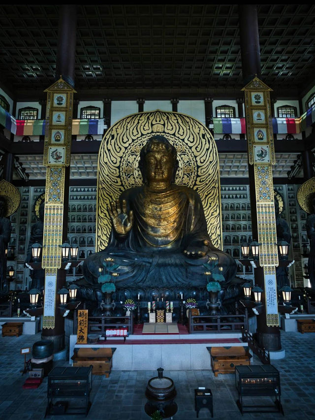 【福井】全てが企画外‼️息を呑むほど壮大かつ荘厳な寺院を紹介🔍