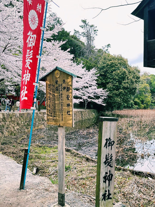 ⛩️想祈求頭髮健康？快來這個唯一的神社⛩️ 