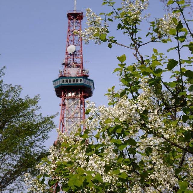 park is spacious in heart of city