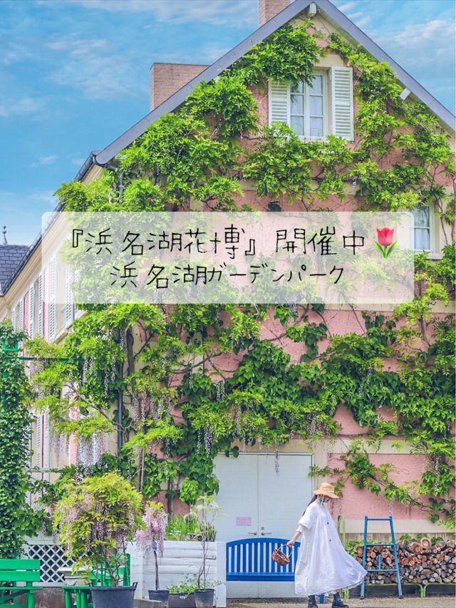 『浜名湖花博2024』 開催中‼︎浜名湖ガーデンパーク🌷