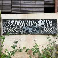 Draco Nature Camp
