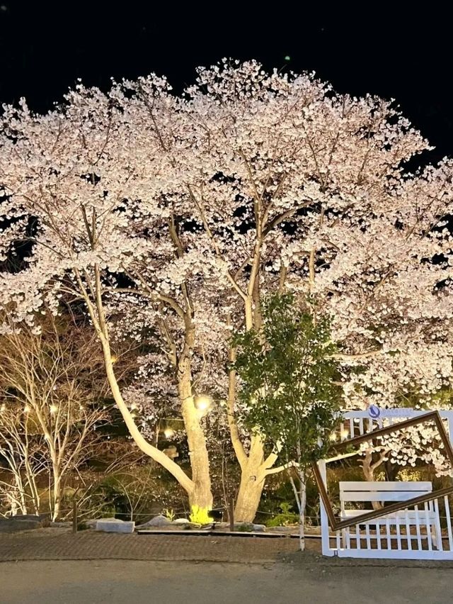 A picnic cafe with a camping atmosphere