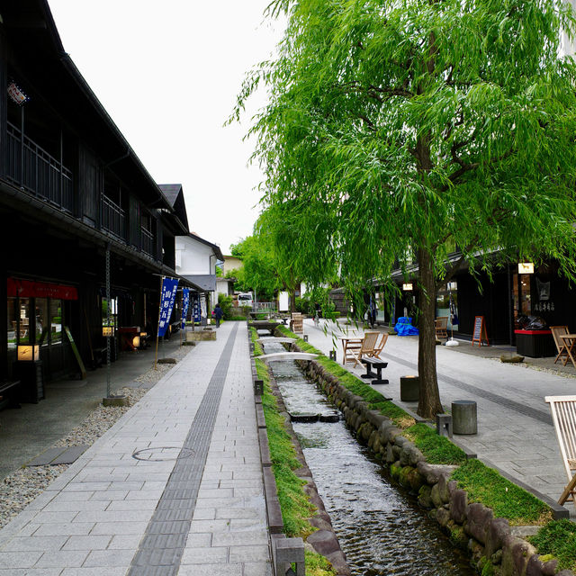 日本東北自駕遊