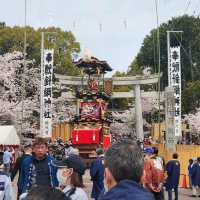 Soak in the festives at Inuyama Festival