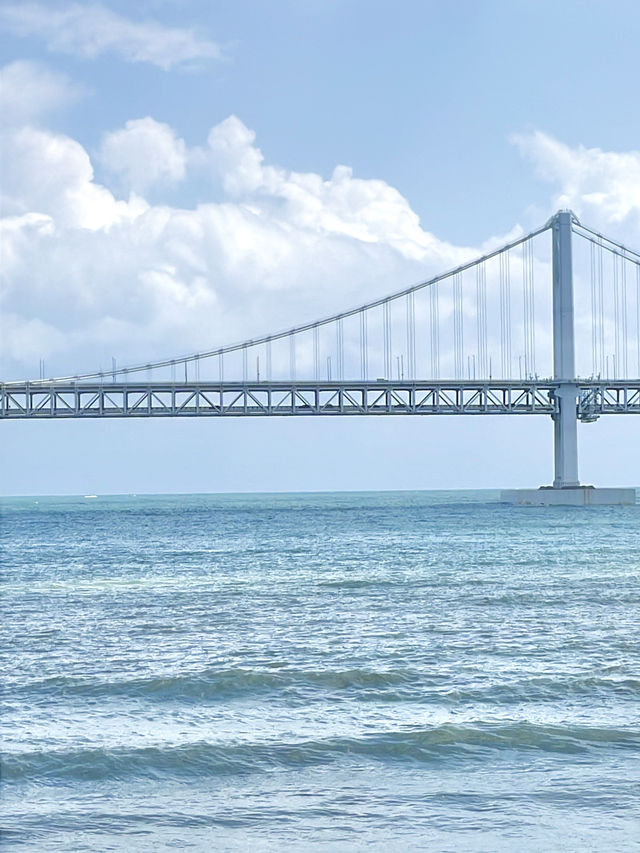 한입 미니 수플레 치즈폼🧀과 파도크림🌊 오션뷰까지 꼭 방문할것!