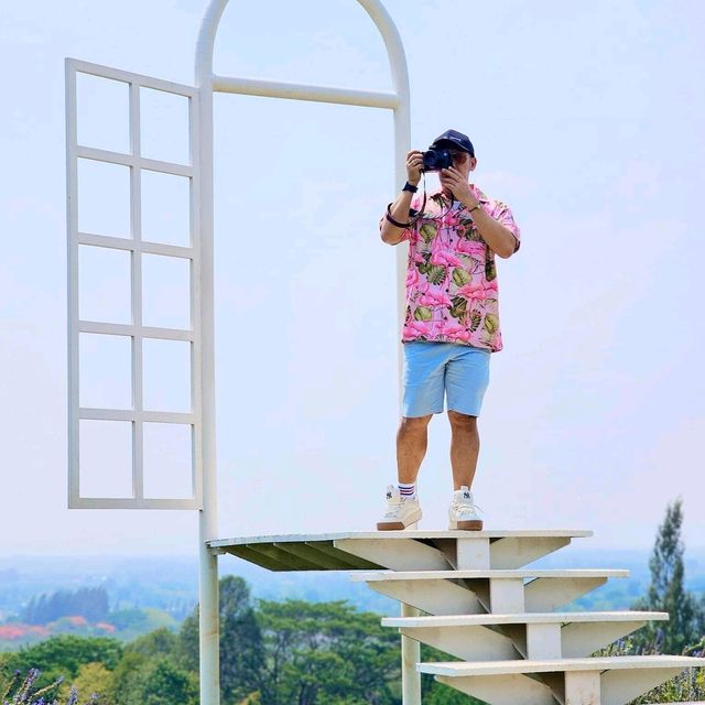 แจกพิกัดคาเฟ่ทุ่งดอกไม้ เขาใหญ่ เปิดใหม่ล่าสุด
