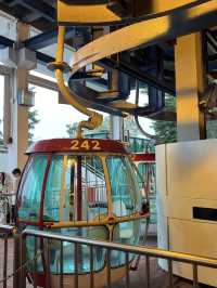 🎡 Ocean Park | สวนสนุกห้ามพลาดเมื่อมาฮ่องกง