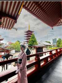 浅草散策するならレンタル着物がオススメ👘✨✨