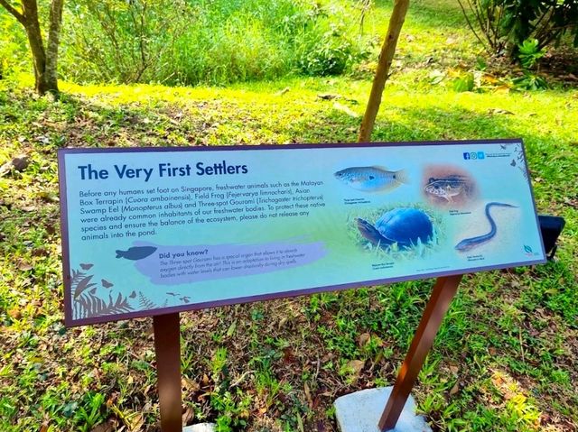 Springleaf Nature Park