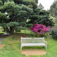 「斯坦利公園~放鬆身心」