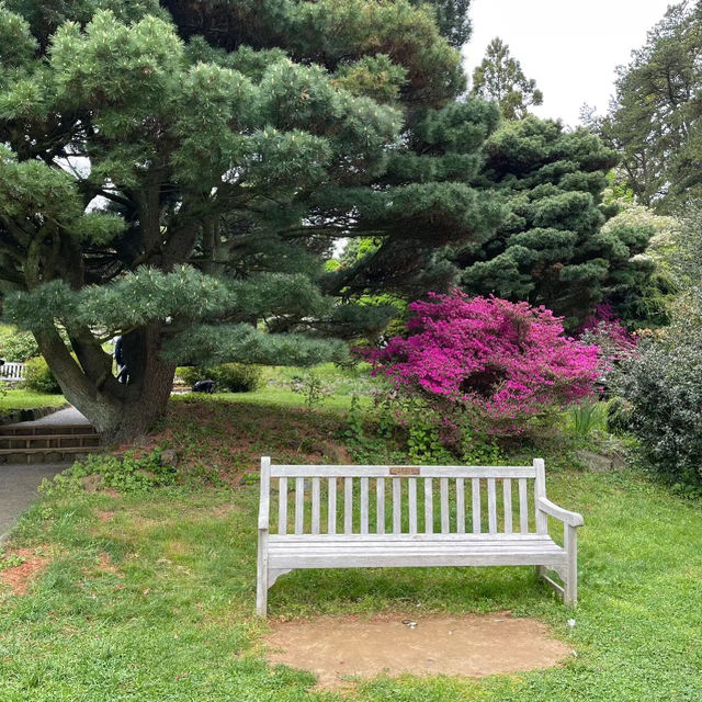 「斯坦利公園~放鬆身心」 「斯坦利公園~放鬆身心」