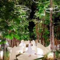 🌳ไปเอนกายท่ามกลางธรรมชาติ ป่าเขาใหญ่ 