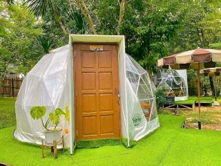 Cha-om Camping in Kaeng Khoi