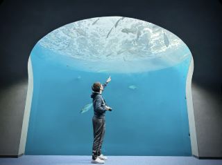 水和生命的物語巡禮