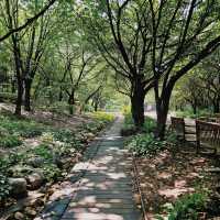 「青羅中央湖公園」湖光山色～感受大自然韻味