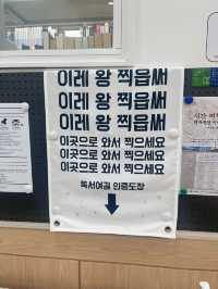 비오는날 아이와 함게 가면 좋은 제주 실내코스☔️