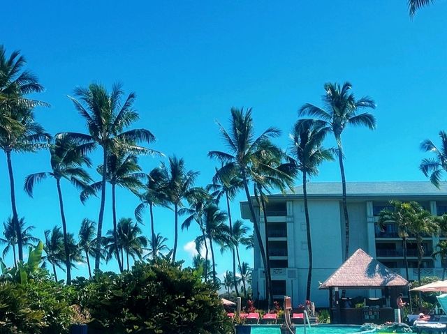 ⛱️ Relax at the Fairmont Orchid