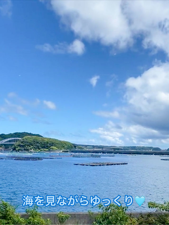 【和歌山】紀州なぎさの駅 水門まつりで串本産絶品マグロを堪能🎣✨
