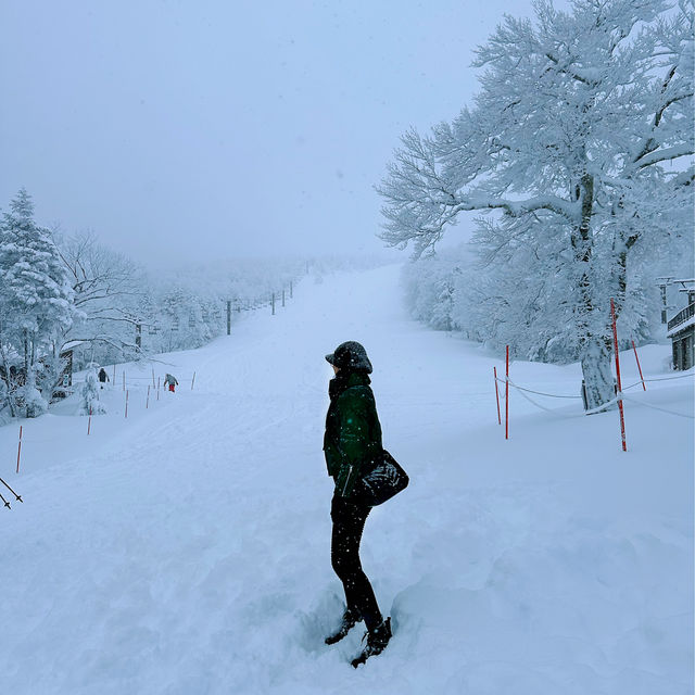 「山形藏王樹冰」1月下旬至2月最佳觀賞時期，優惠套票限時推出！