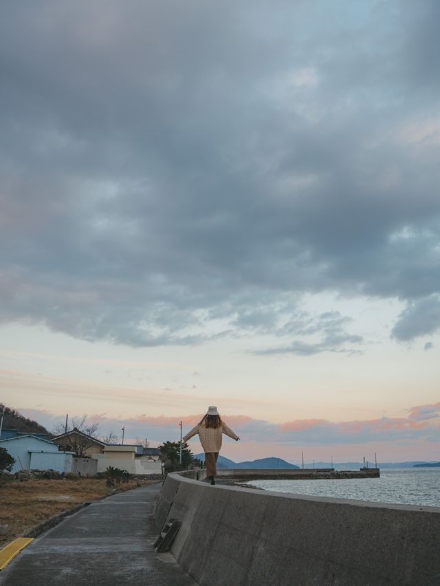 【香川】瀬戸内海に浮かぶ猫島！島猫と絶景に癒される1日！