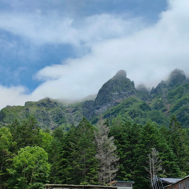 日本アルプス　高山植物