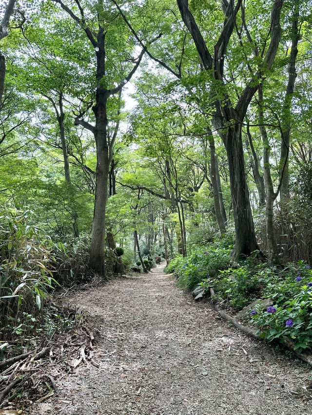 【箱根・強羅】　自然の中で花を愛でるオシャレなガーデン