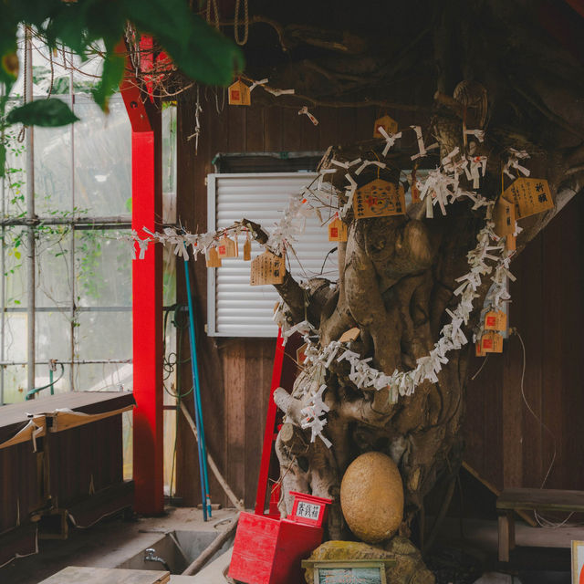 Discover the Enchanting Island Paradise of Okinawa