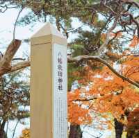 Experience the Timeless Beauty of Akita