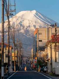 【東京河口湖】富士山景點推薦🏖️🔥：大石公園咖喱飯，Cafe Mimi歐式庭院