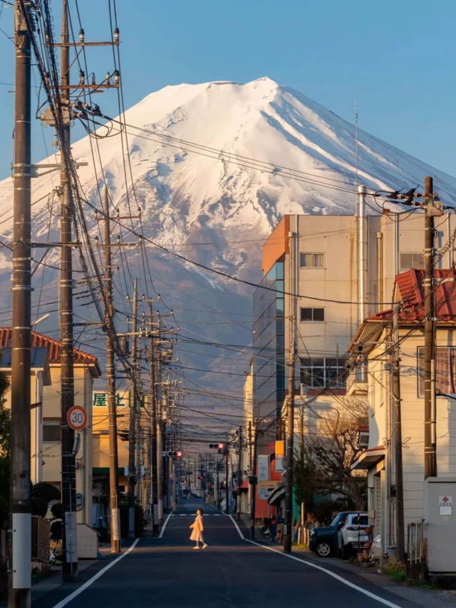 【東京河口湖】富士山景點推薦🏖️🔥：大石公園咖喱飯，Cafe Mimi歐式庭院