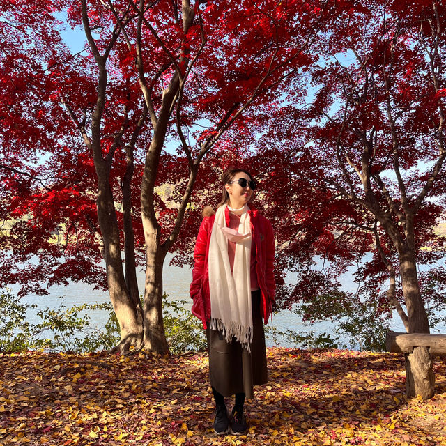 K-drama on Nami Island, South Korea