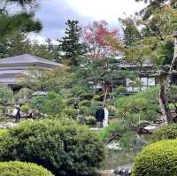 魅力的な庭園のある神社