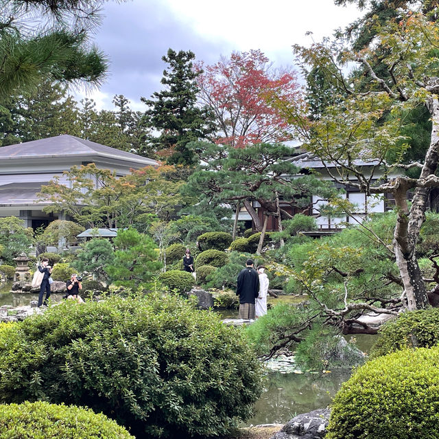魅力的な庭園のある神社