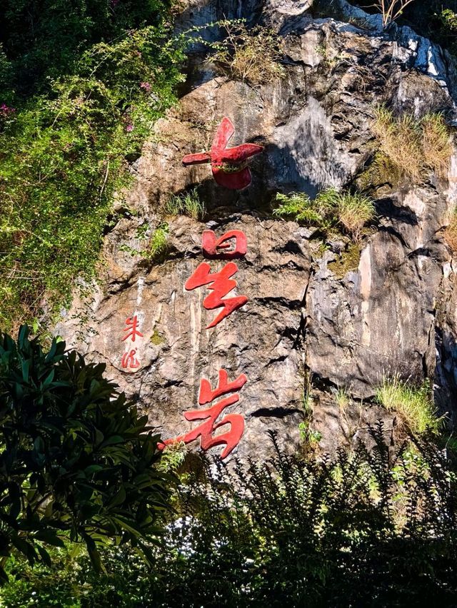 【免費夜遊】七星岩暑期特優惠，夢幻夜景等你來！