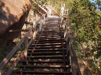 ภูทอก : บึงกาฬ