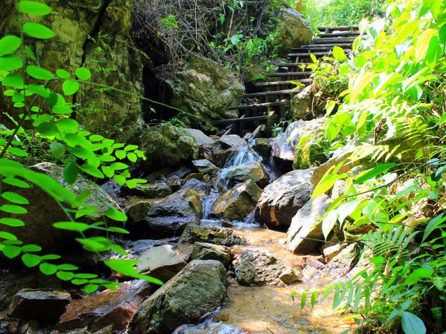 รีวิว ถ้ำธารลอดใหญ่ ⛰️(เดินป่าเข้าหาธรรมชาติ)