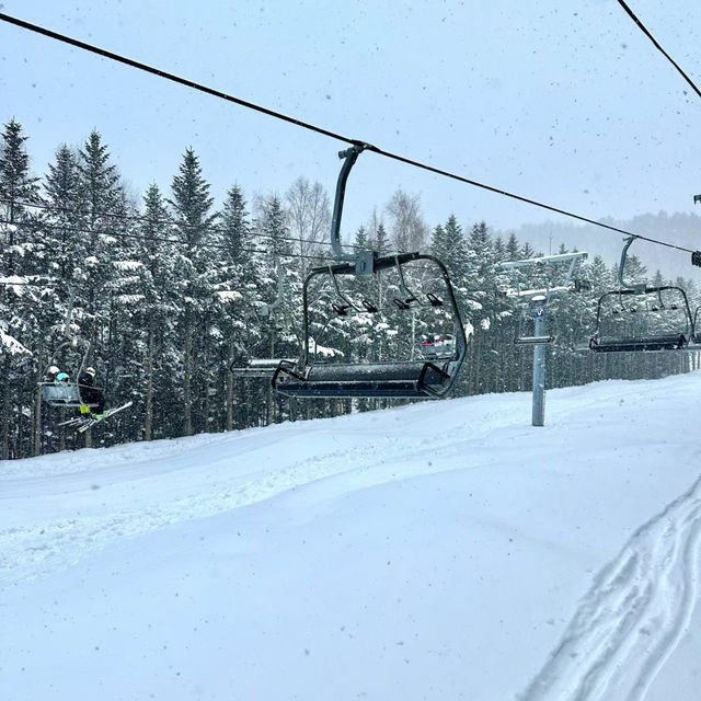比羅夫滑雪場：冰天雪地