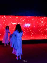 พาชมโลกใต้น้ำที่ Shanghai Ocean Aquarium 🇨🇳