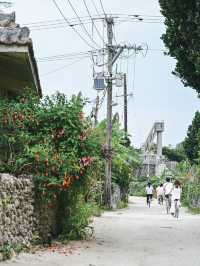 【沖縄｜竹富島】のんびりとした時間が流れる沖縄島旅