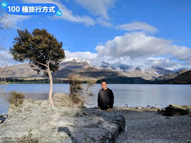 紐西蘭南島-佇立於瓦納卡湖中的孤獨之樹：that wanaka tree