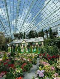 🇸🇬Flower Dome Singapore 