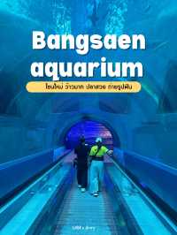 บางแสน อวาเรียม โซนใหม่ ว้าวมาก 🐠🪼✨