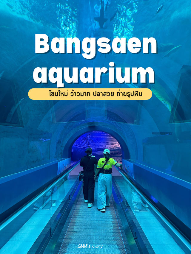 บางแสน อวาเรียม โซนใหม่ ว้าวมาก 🐠🪼✨