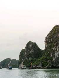 Ha Long Bay is So Beautiful ❤️