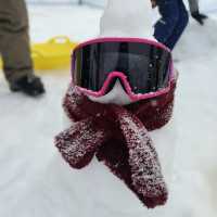 湯澤滑雪