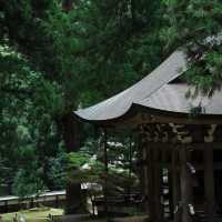 孔大寺神社 ⛩️ 平靜祥和