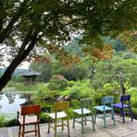 Theme Visit to the Garden of Morning Calm 🇰🇷